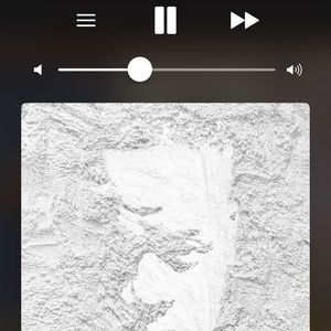 Meet your Posher, Dylan